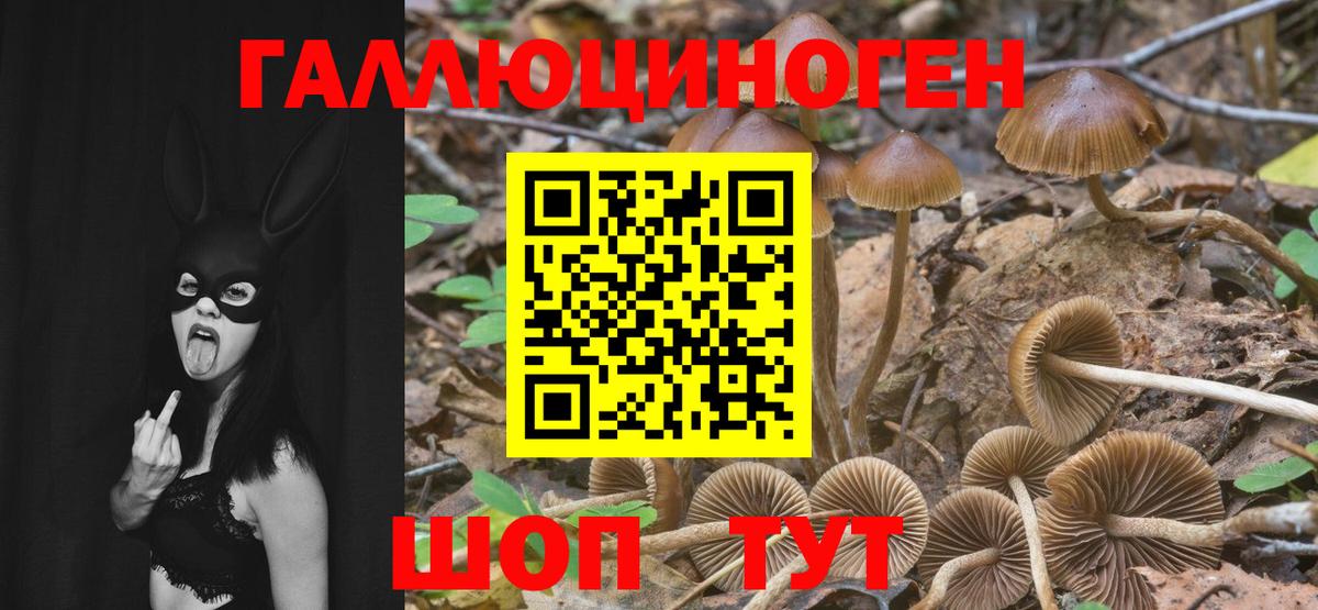Нижнеудинск  Галлюциногенные грибы мухоморы  Вход с VPN  Галлюциногенные грибы Magic Shrooms 