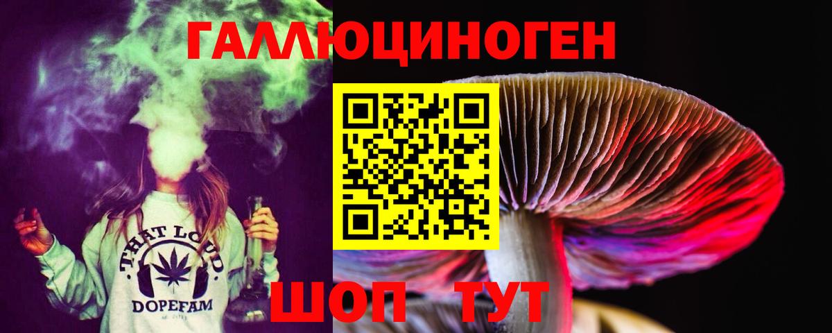 Галлюциногенные грибы мухоморы Нижнеудинск